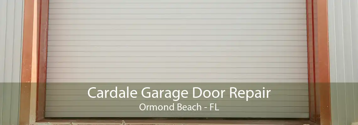 Cardale Garage Door Repair Ormond Beach - FL