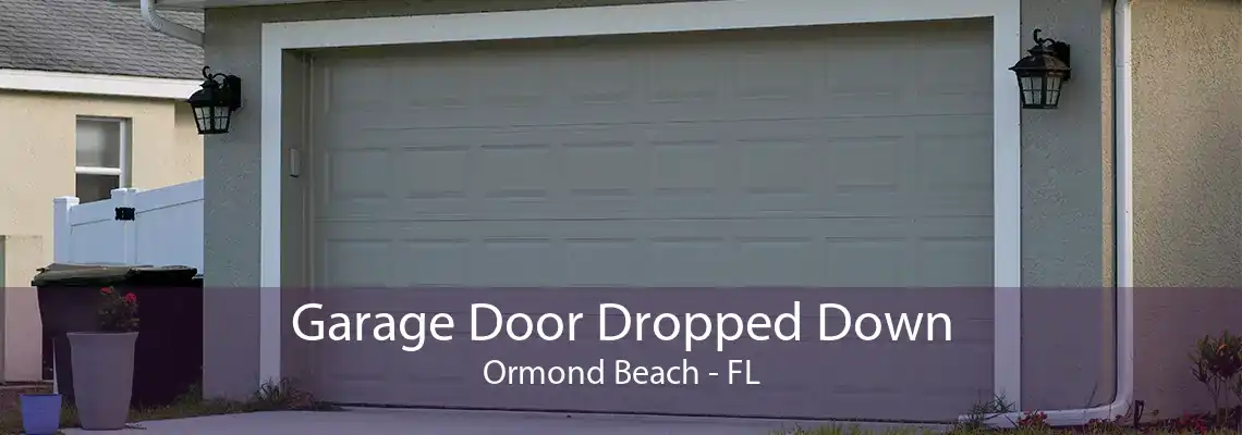 Garage Door Dropped Down Ormond Beach - FL