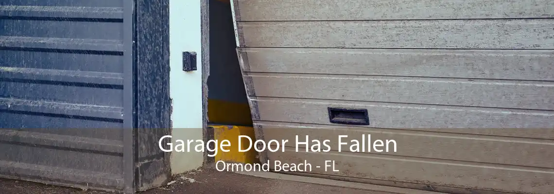 Garage Door Has Fallen Ormond Beach - FL