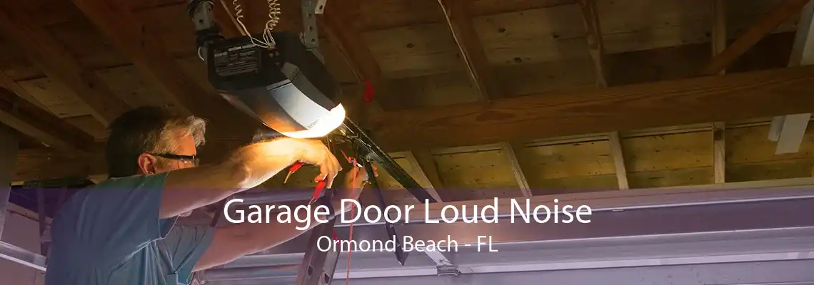 Garage Door Loud Noise Ormond Beach - FL