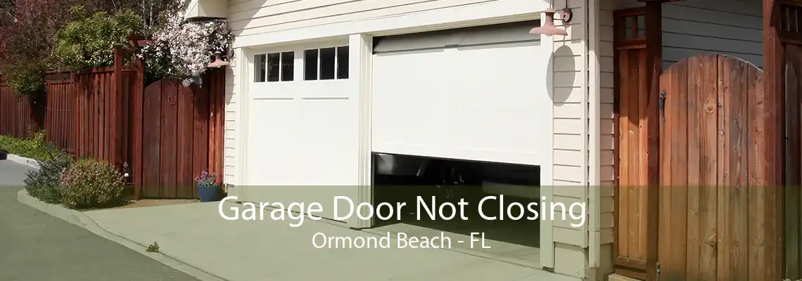 Garage Door Not Closing Ormond Beach - FL