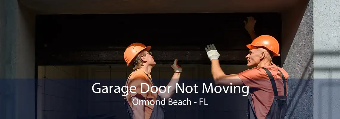 Garage Door Not Moving Ormond Beach - FL