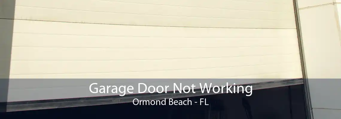 Garage Door Not Working Ormond Beach - FL