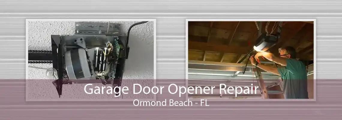 Garage Door Opener Repair Ormond Beach - FL