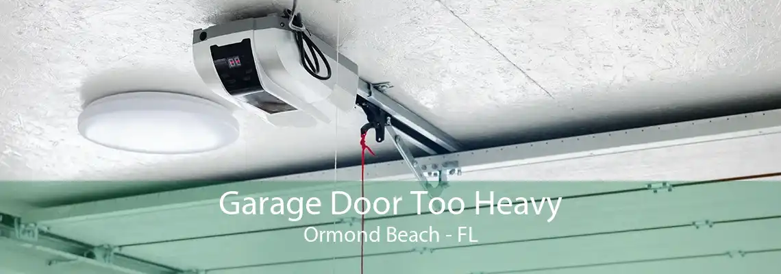 Garage Door Too Heavy Ormond Beach - FL