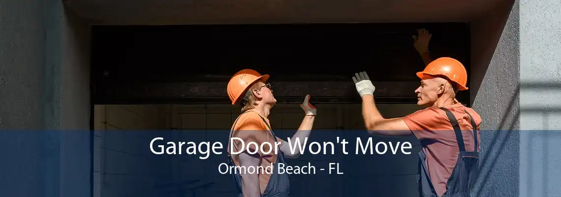 Garage Door Won't Move Ormond Beach - FL