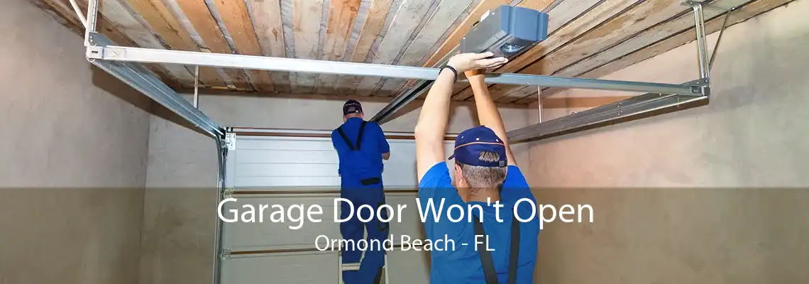 Garage Door Won't Open Ormond Beach - FL